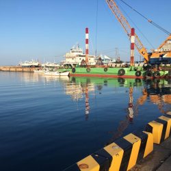 豆アジコアジ87匹、カンパチの子供2匹、ガシラ2匹、コサバ3匹、イワシ7匹