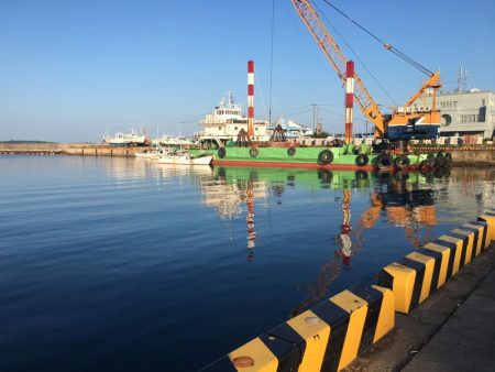 豆アジコアジ87匹、カンパチの子供2匹、ガシラ2匹、コサバ3匹、イワシ7匹