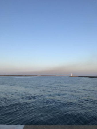 まずまず楽しめる