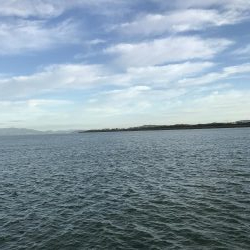 一匹だけで残念