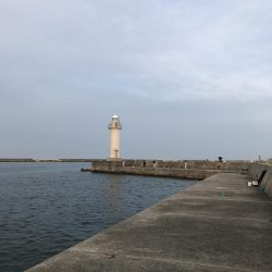 サイズが伸びない