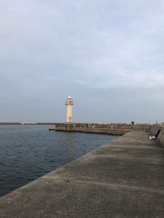 サイズが伸びない