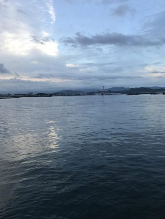 高活性期待するも…