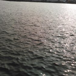 ショアジギング