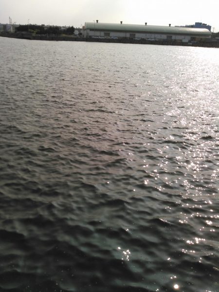 ショアジギング