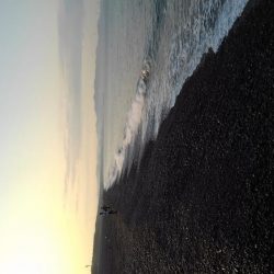 手のひらサイズ(泣)