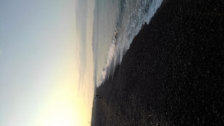 手のひらサイズ(泣)