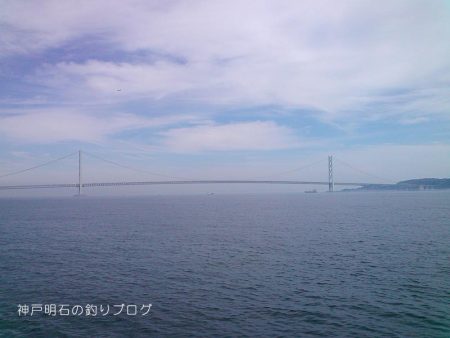 グレ狙い&アナゴ釣り