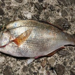 マルチヒット！！