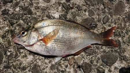 マルチヒット！！