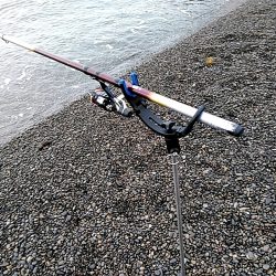 アオリイカは、釣れませんでしたが・・・・・