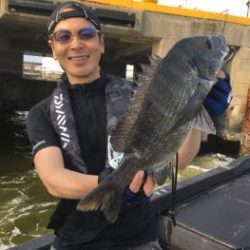 シーマジカル 釣果