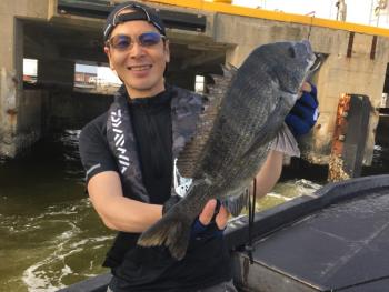 シーマジカル 釣果