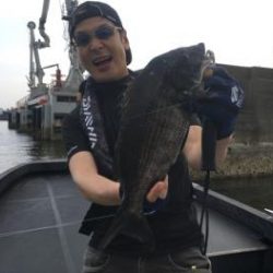 シーマジカル 釣果