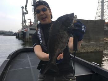 シーマジカル 釣果