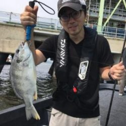 シーマジカル 釣果