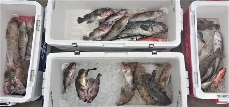 気仙沼　つり丸 釣果