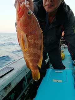松福丸 釣果