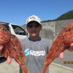 大進丸(新潟) 釣果