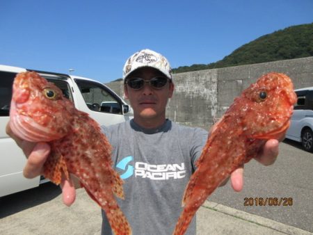 大進丸（新潟） 釣果