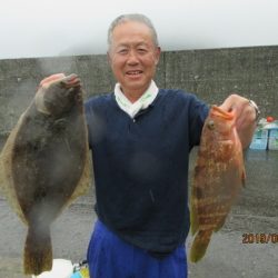 大進丸(新潟) 釣果