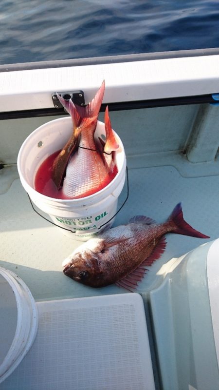 遊漁船ブルーウッズ 釣果