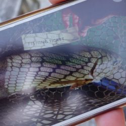 フィッシングレイクたかみや 釣果