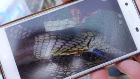 フィッシングレイクたかみや 釣果