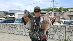 まこと渡船 釣果