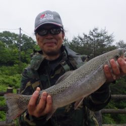 フィッシングレイクたかみや 釣果