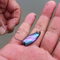 フィッシングレイクたかみや 釣果