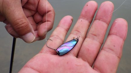 フィッシングレイクたかみや 釣果