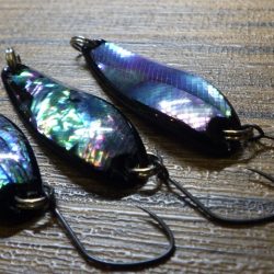 フィッシングレイクたかみや 釣果