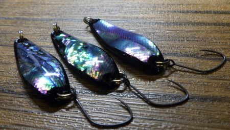 フィッシングレイクたかみや 釣果