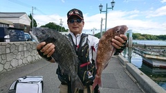 まこと渡船 釣果