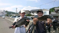 まこと渡船 釣果