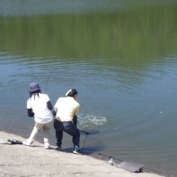 フィッシングレイクたかみや 釣果