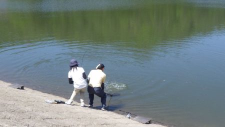 フィッシングレイクたかみや 釣果