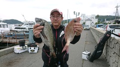 まこと渡船 釣果