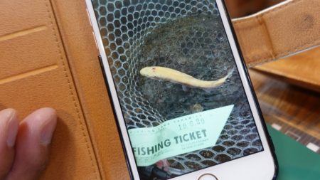 フィッシングレイクたかみや 釣果