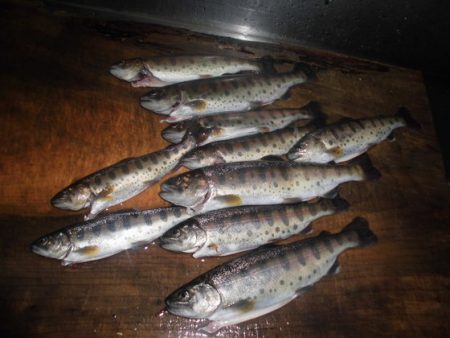 高萩ふれあいの里フィッシングエリア 釣果