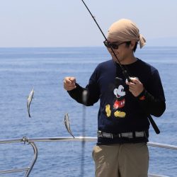 クルーズ 釣果