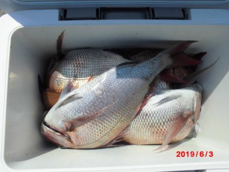 大進丸（新潟） 釣果