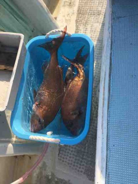 龍宮丸 釣果