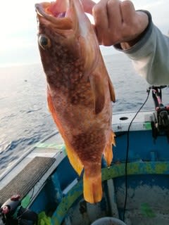 松福丸 釣果