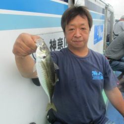 あい川丸 釣果