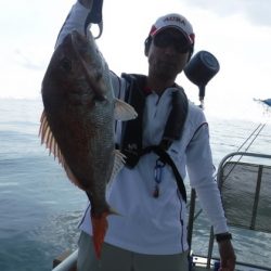 遊漁船 幸友丸 釣果