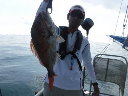 遊漁船 幸友丸 釣果