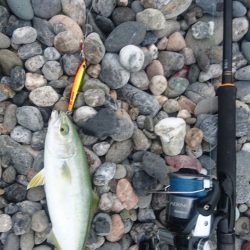 仁淀川河口サーフでショアジギング【シャウト（Shout!）レイズ　インプレッション】