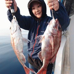 遊漁船ブルーウッズ 釣果